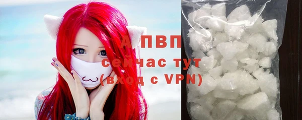 мяу мяу мука Баксан