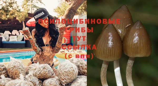 мяу мяу мука Баксан