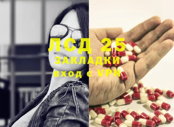 ПСИЛОЦИБИНОВЫЕ ГРИБЫ Балахна