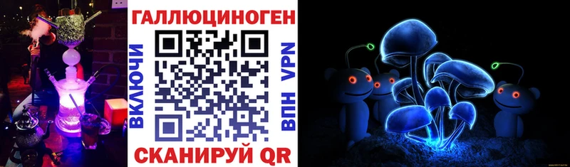 Галлюциногенные грибы мицелий  Высоковск 